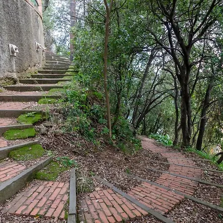 Joivy Sea View Flat With Balcony, Cinque Terre * モンテロッソ・アル・マーレ